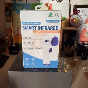 Electronic Thermometer